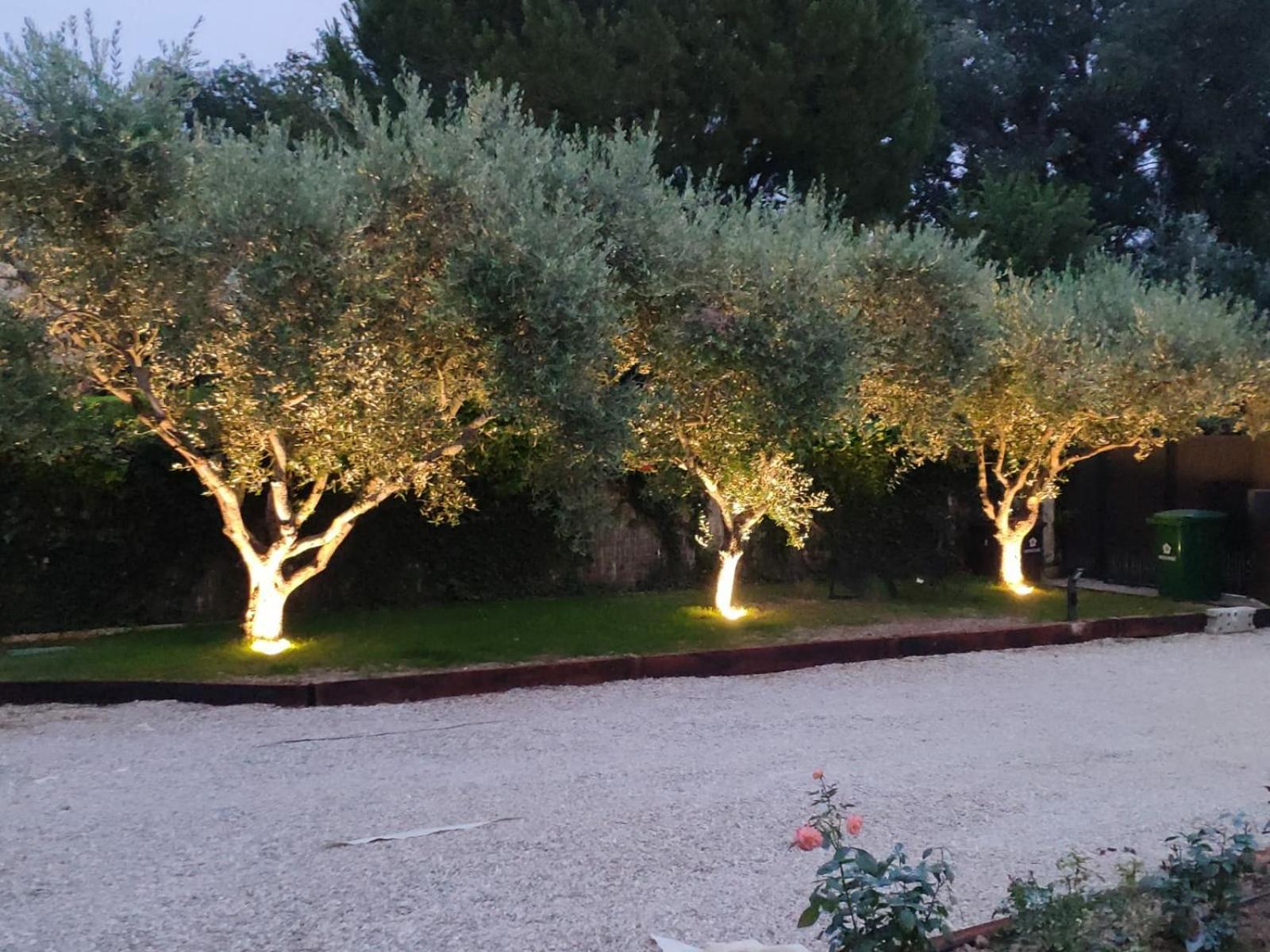 Apartment Climatise Avec Parking, Terrasse Et Piscine Villeneuve-Loubet